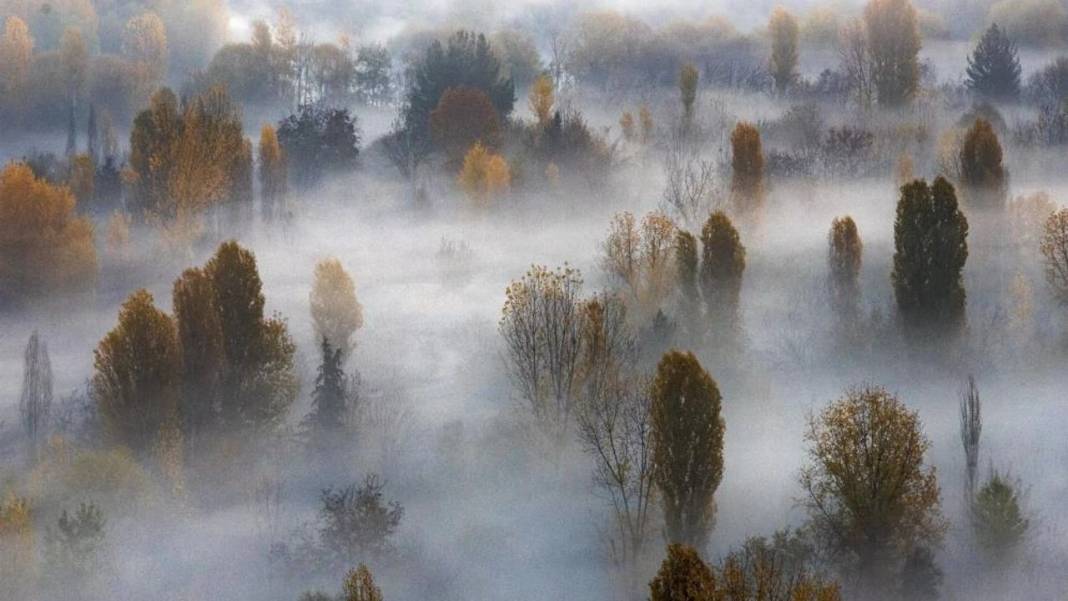 Diyarbakır Hevsel Bahçelerinde sis kartpostallık görüntüler oluşturdu 1